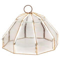 19th Century French Garden Cloche