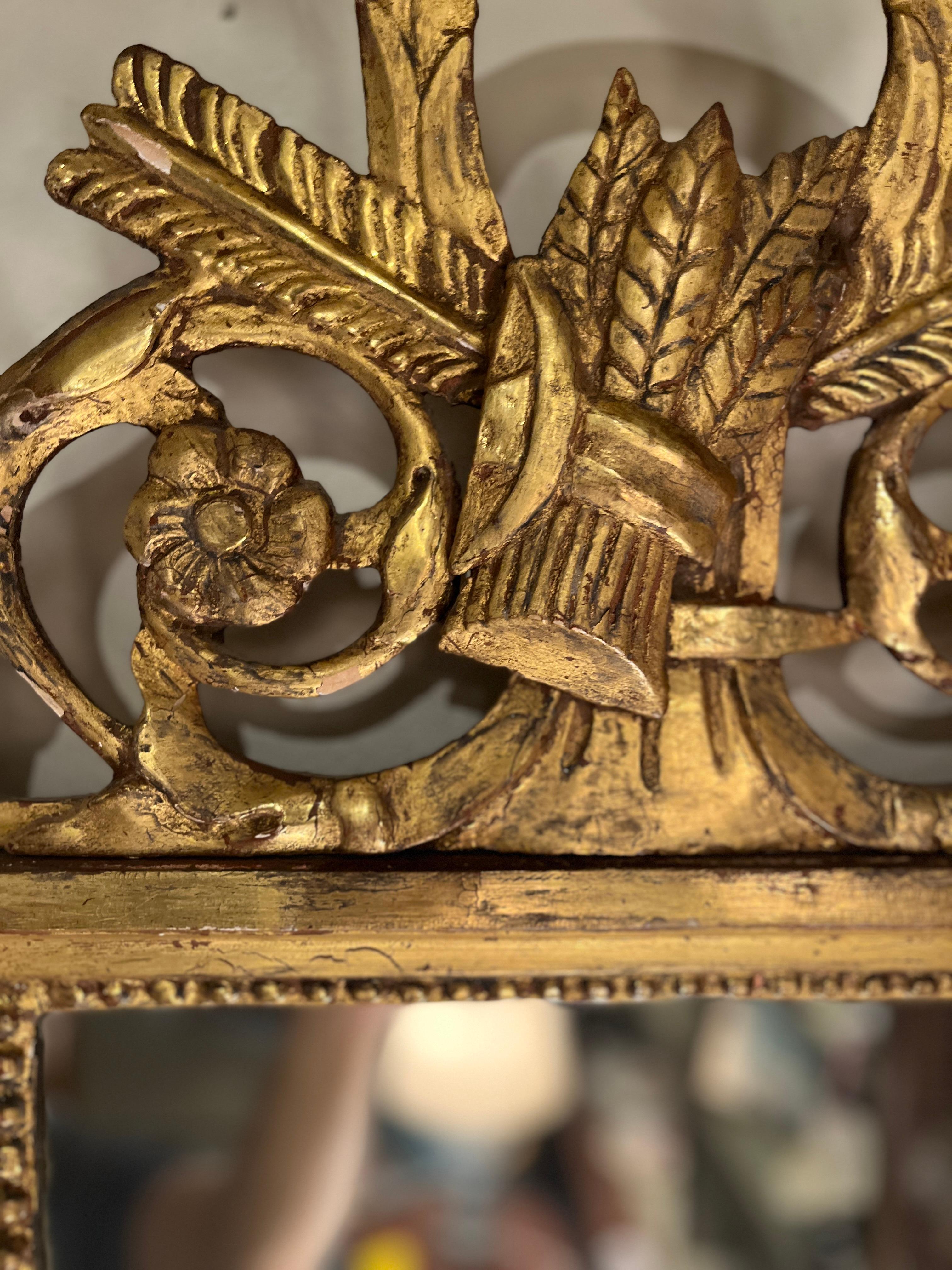 Miroir de cour en bois doré du 19e siècle.  Magnifique et en bon état.  Voir les photos pour plus de détails