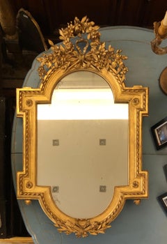 19th Century French Gilt Wood Miroir Signed by Bertrand Montluçon, Louis XVI