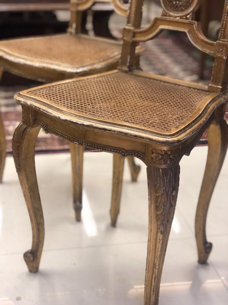 19th Century French Gilt Wood Side Chairs Decorated in Louis XVI Style ...