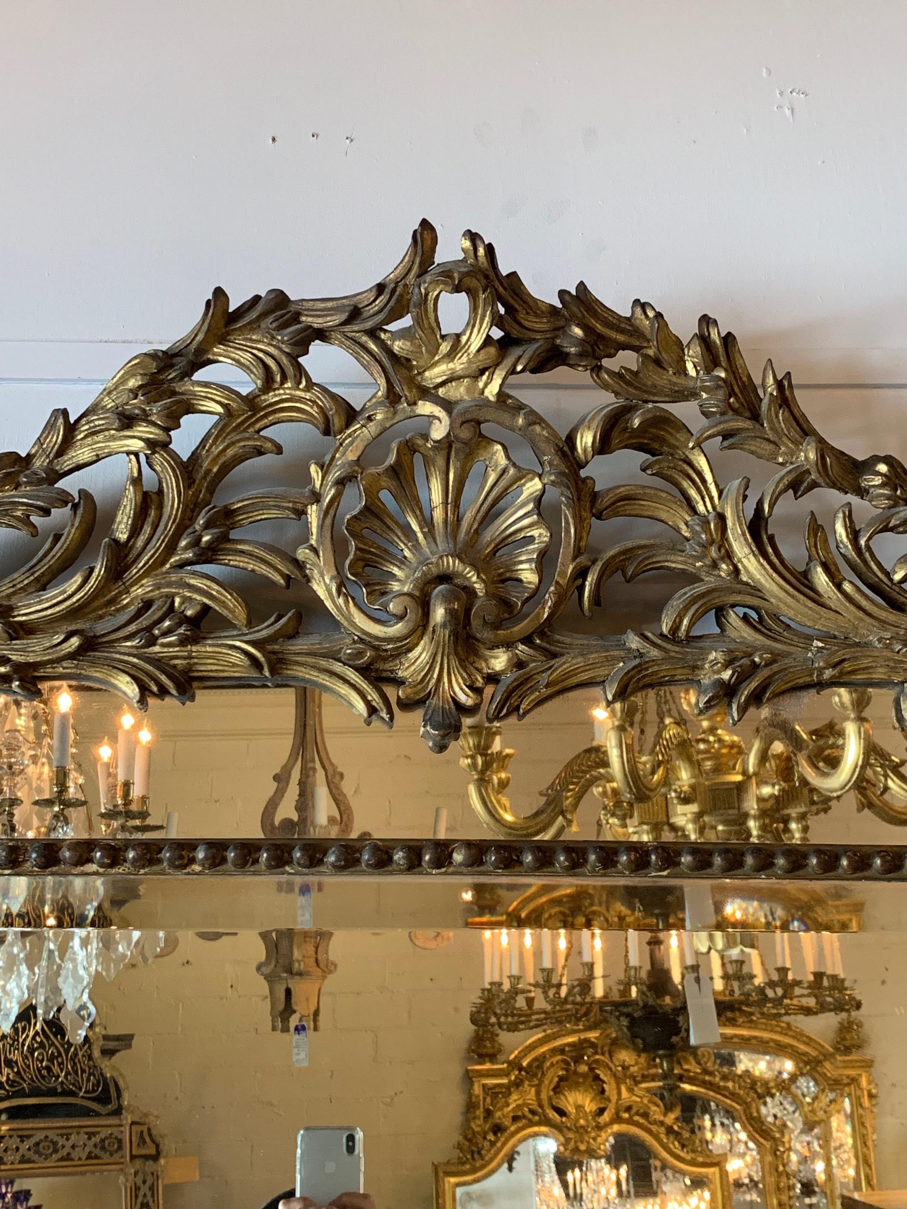 19th century giltwood mirror. Beautiful carvings of shells, leaves and scrolls at the top and sides of the mirror. Impressive item for a fine home.