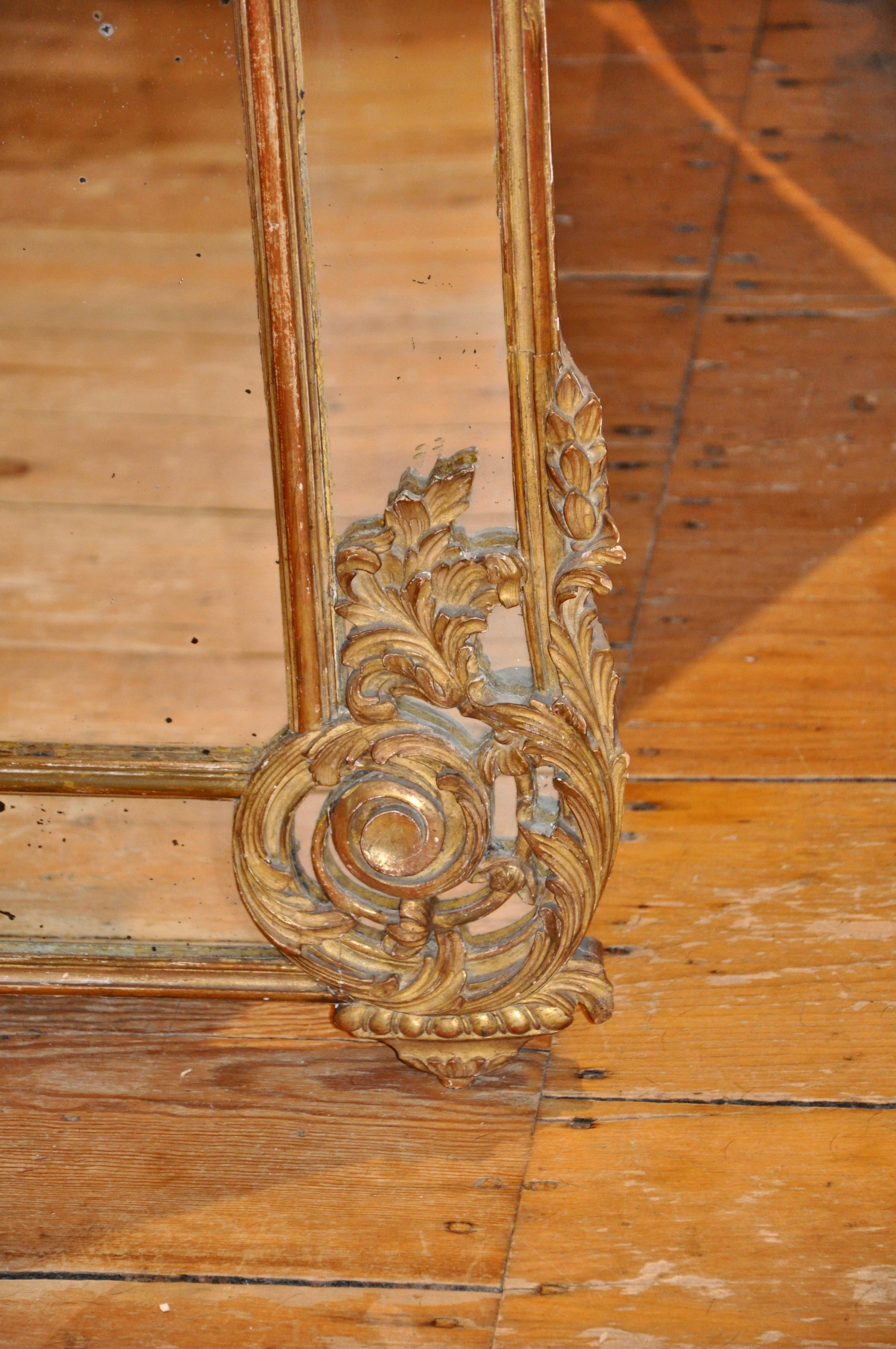 Französischer Spiegel aus vergoldetem Holz im Regence-Stil des 19. Jahrhunderts im Zustand „Gut“ im Angebot in Essex, MA