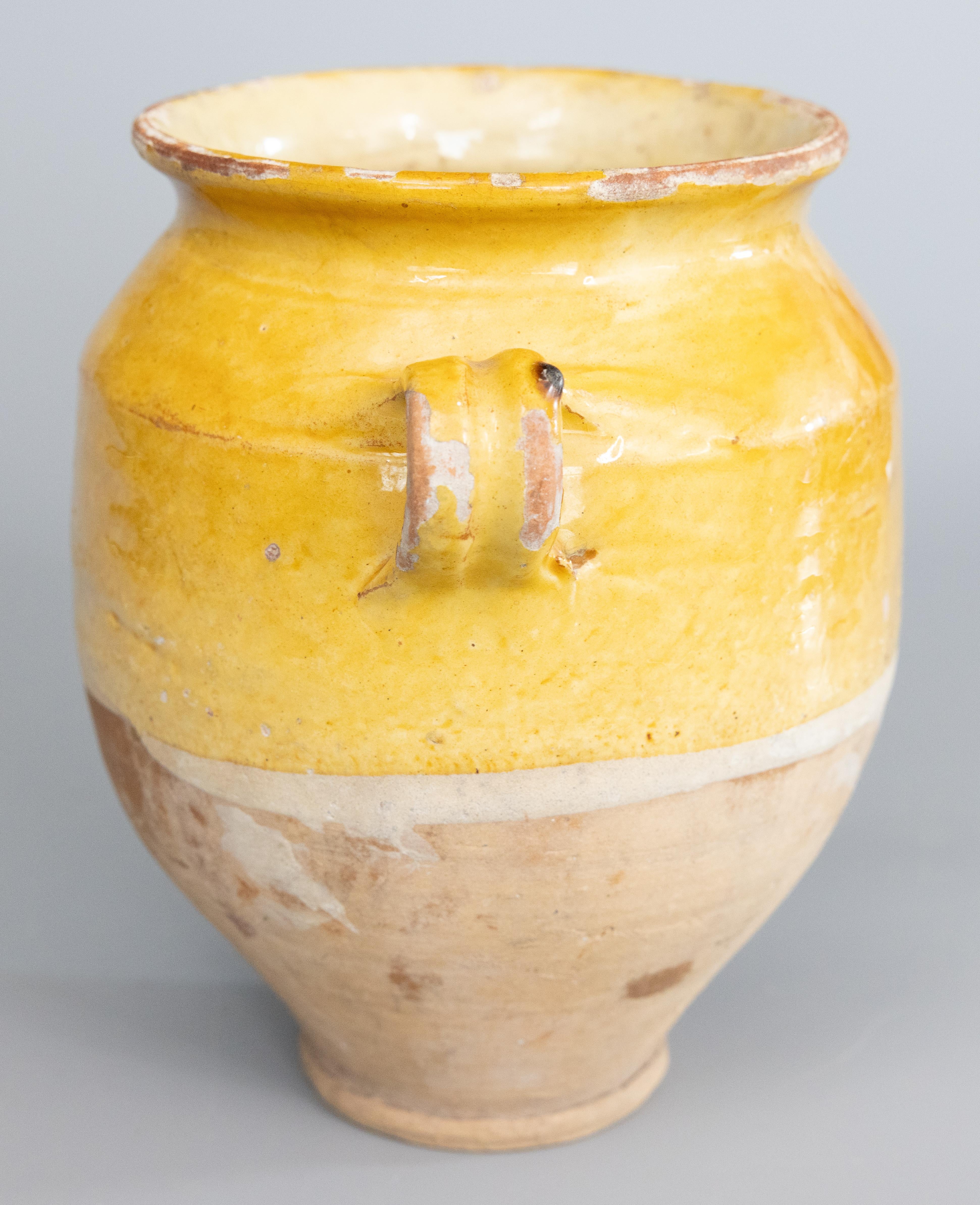 Un delizioso vaso da confit francese del XIX secolo con smalto giallo senape proveniente dal Sud della Francia, Castelnaudary. Questo vaso o fioriera è realizzato a mano con affascinanti maniglie dette 