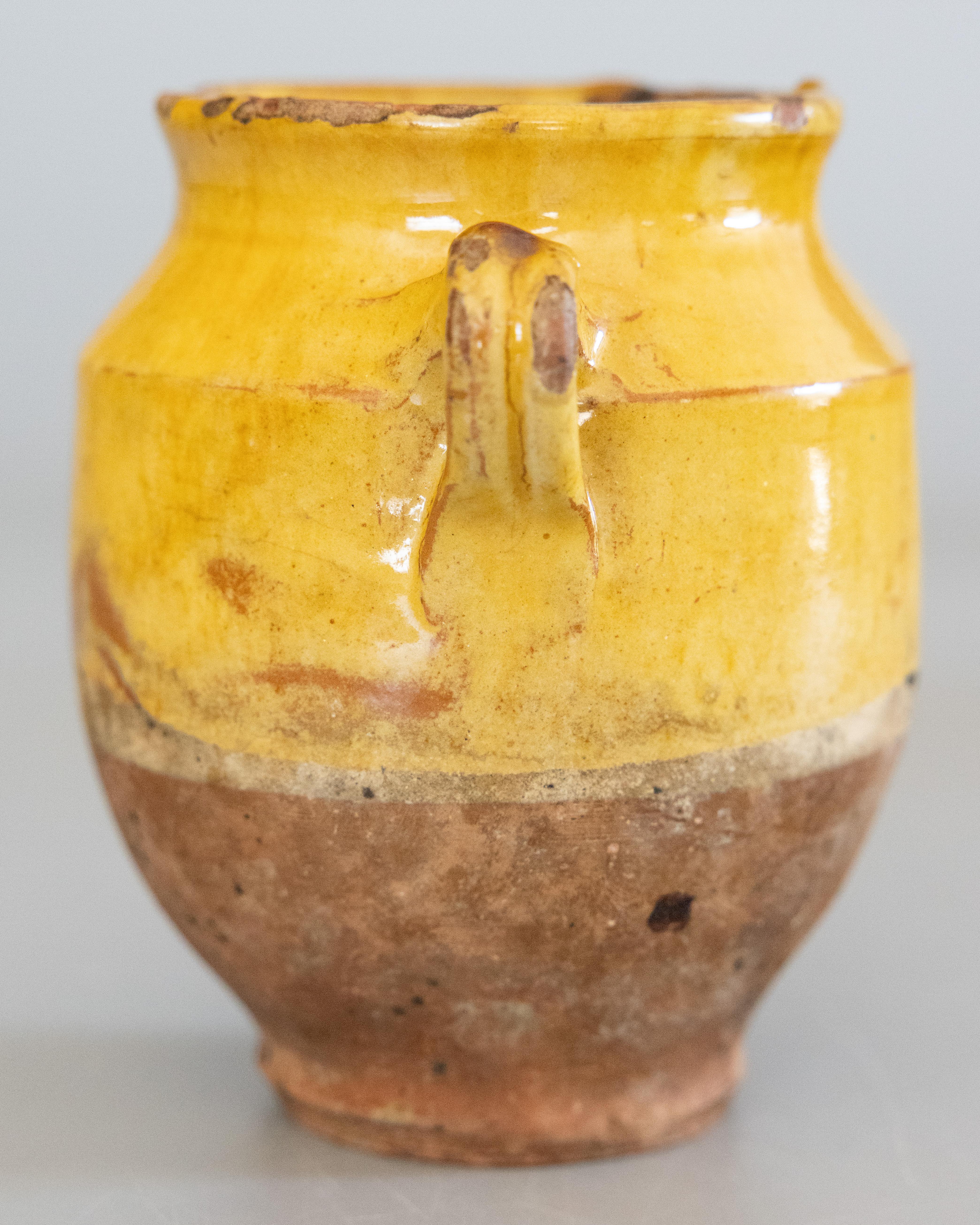 A lovely 19th century petite French confit pot with yellow glaze from the South of France, Castelnaudary. This pot or planter is hand thrown with charming handles known as 'ears'. These jars were used for storing and preserving cooked meat. This one