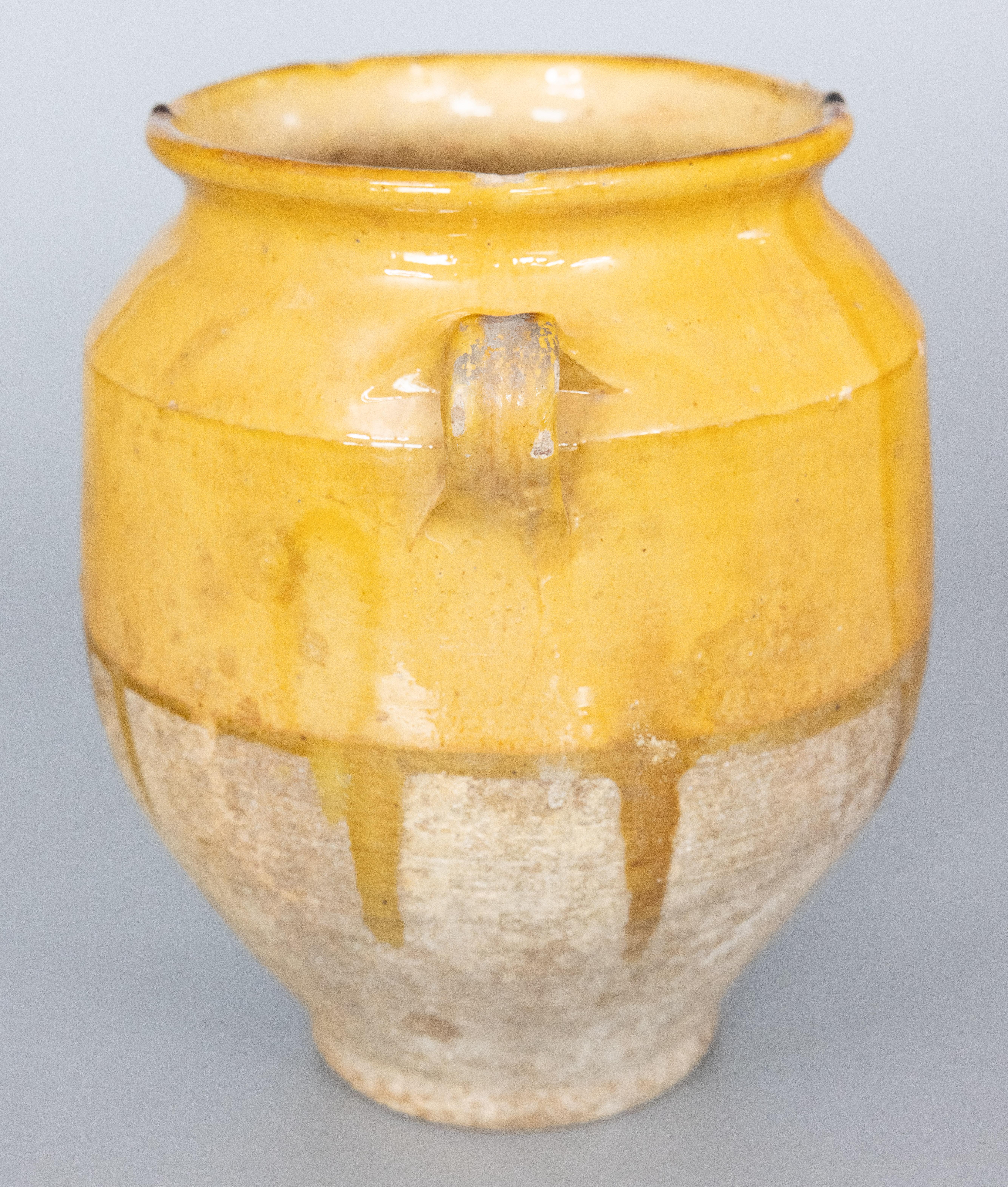 A lovely antique 19th century French confit pot with lovely drippy mustard yellow glaze from the South of France, Castelnaudary. This pot or planter is hand thrown with charming handles known as 'ears'. These jars were used for storing and
