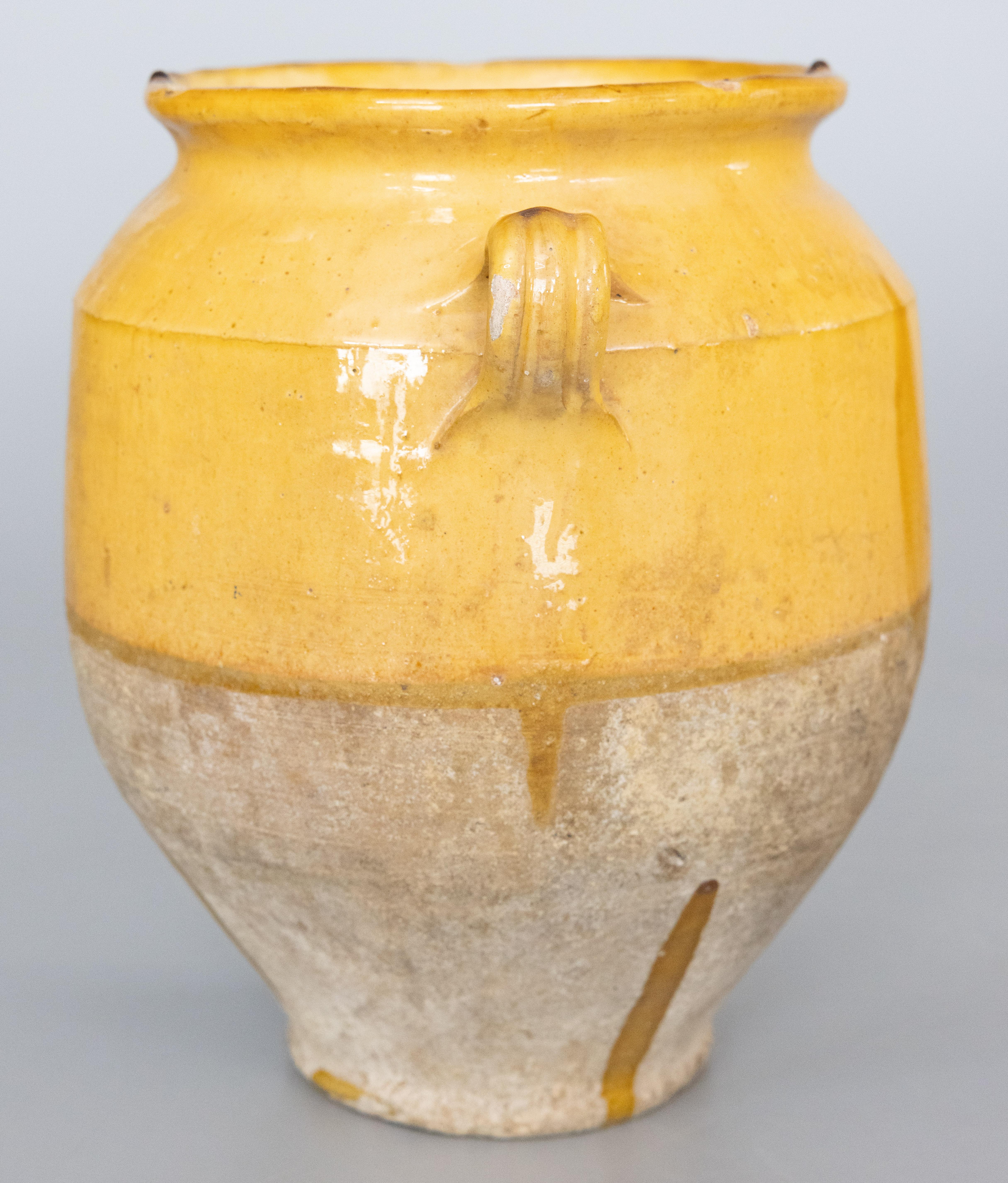 Earthenware 19th Century French Glazed Yellow Terracotta Confit Pot