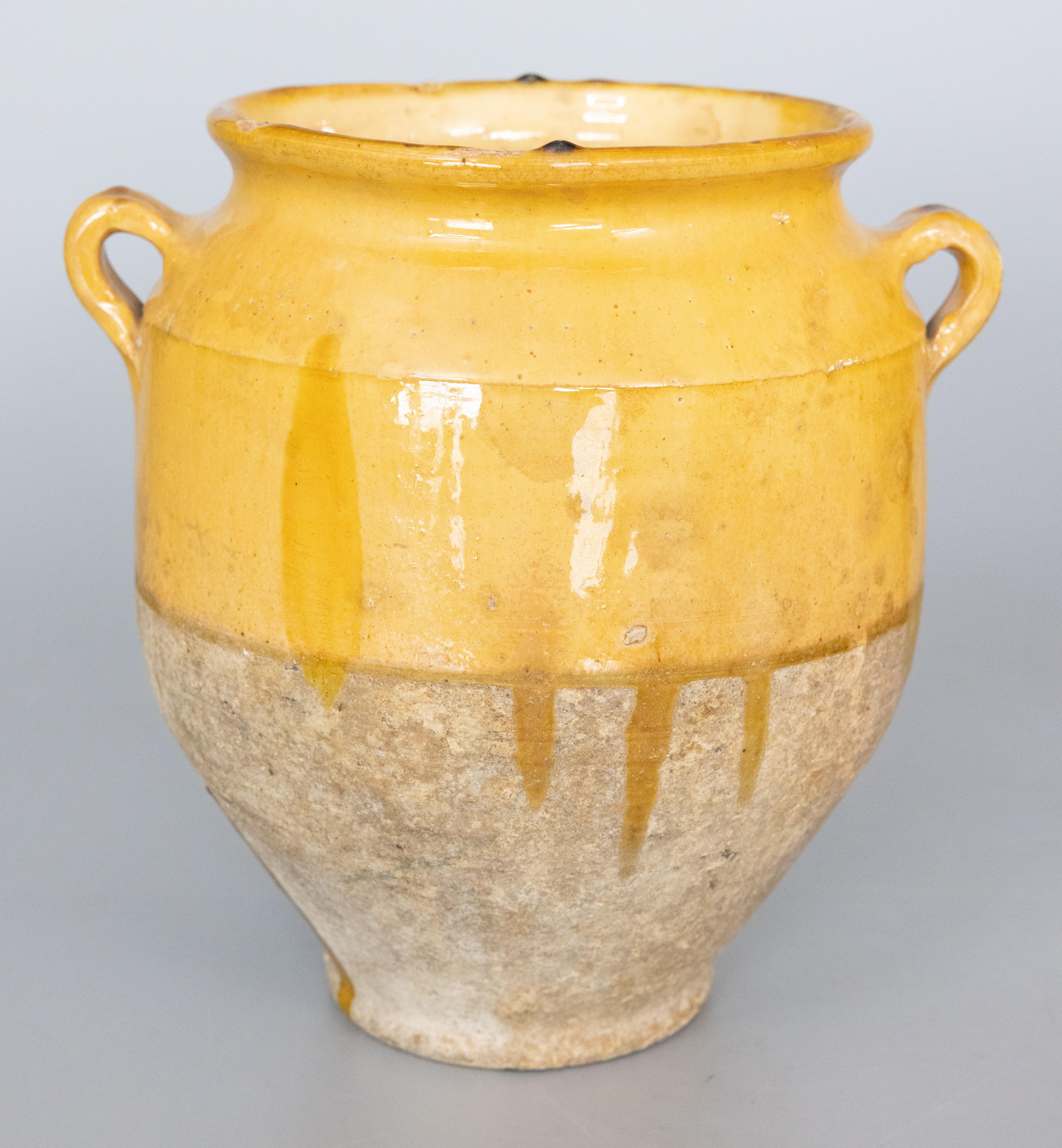 19th Century French Glazed Yellow Terracotta Confit Pot 4