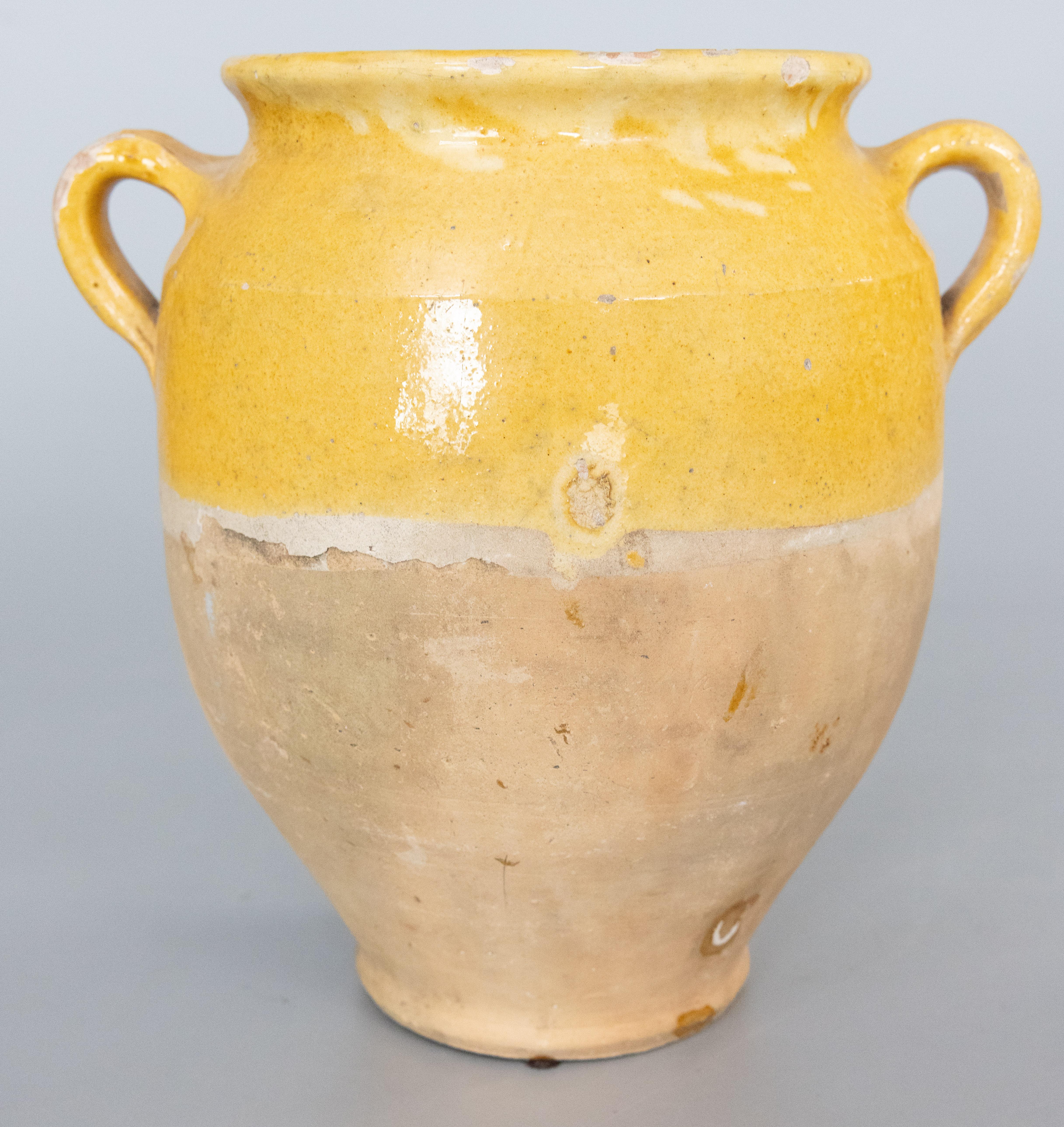 Vaso di terracotta gialla smaltata francese del XIX secolo in vendita 2