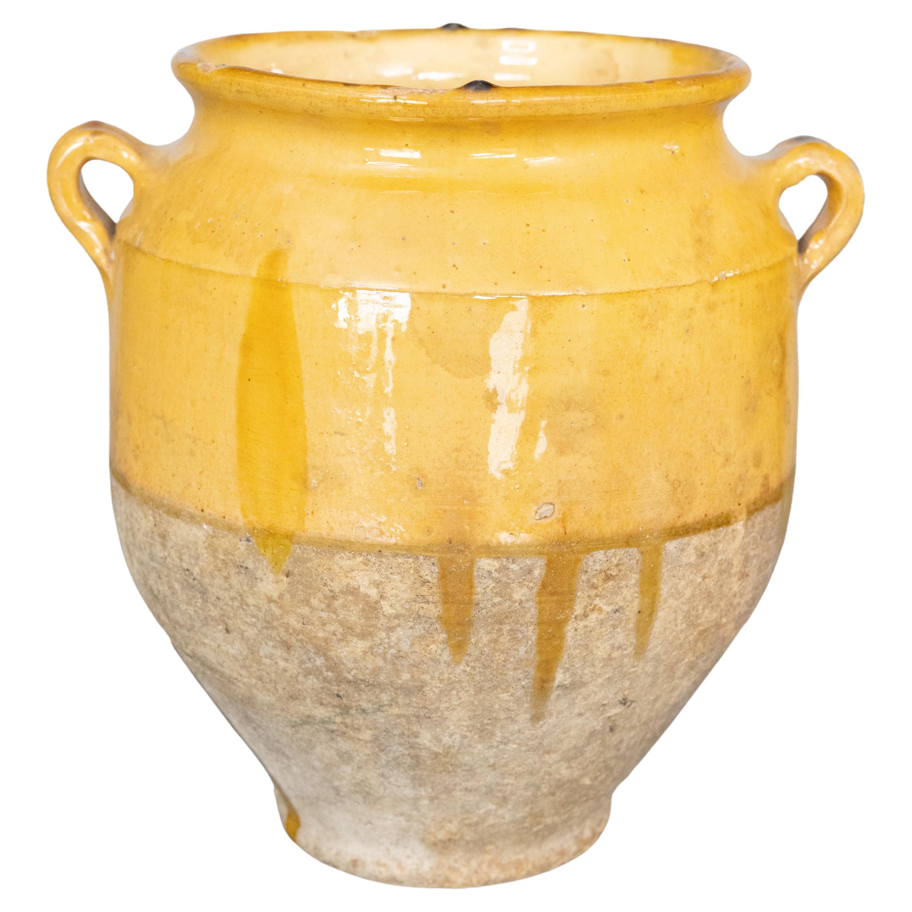 19th Century French Glazed Yellow Terracotta Confit Pot