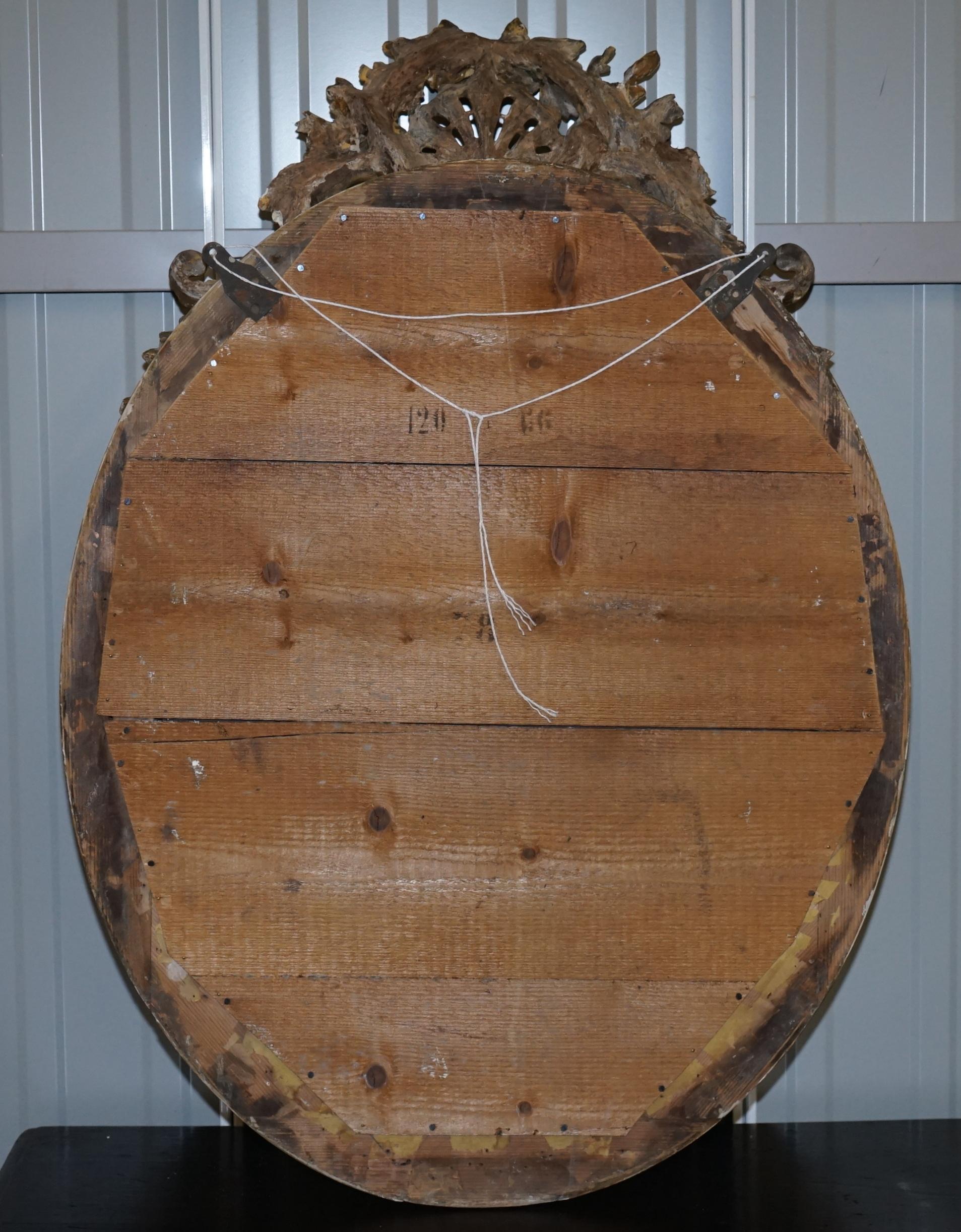 19th Century French Gold Giltwood Mirror, Gesso Carving Floral Ribbon & Shell 9