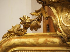 19th Century French Gold Leaf Louis Philippe Style Mirror with Central Cartouche