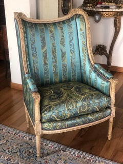 19th Century French Hand Carved Bergere Chairs - Armchairs in Louis XVI Style
