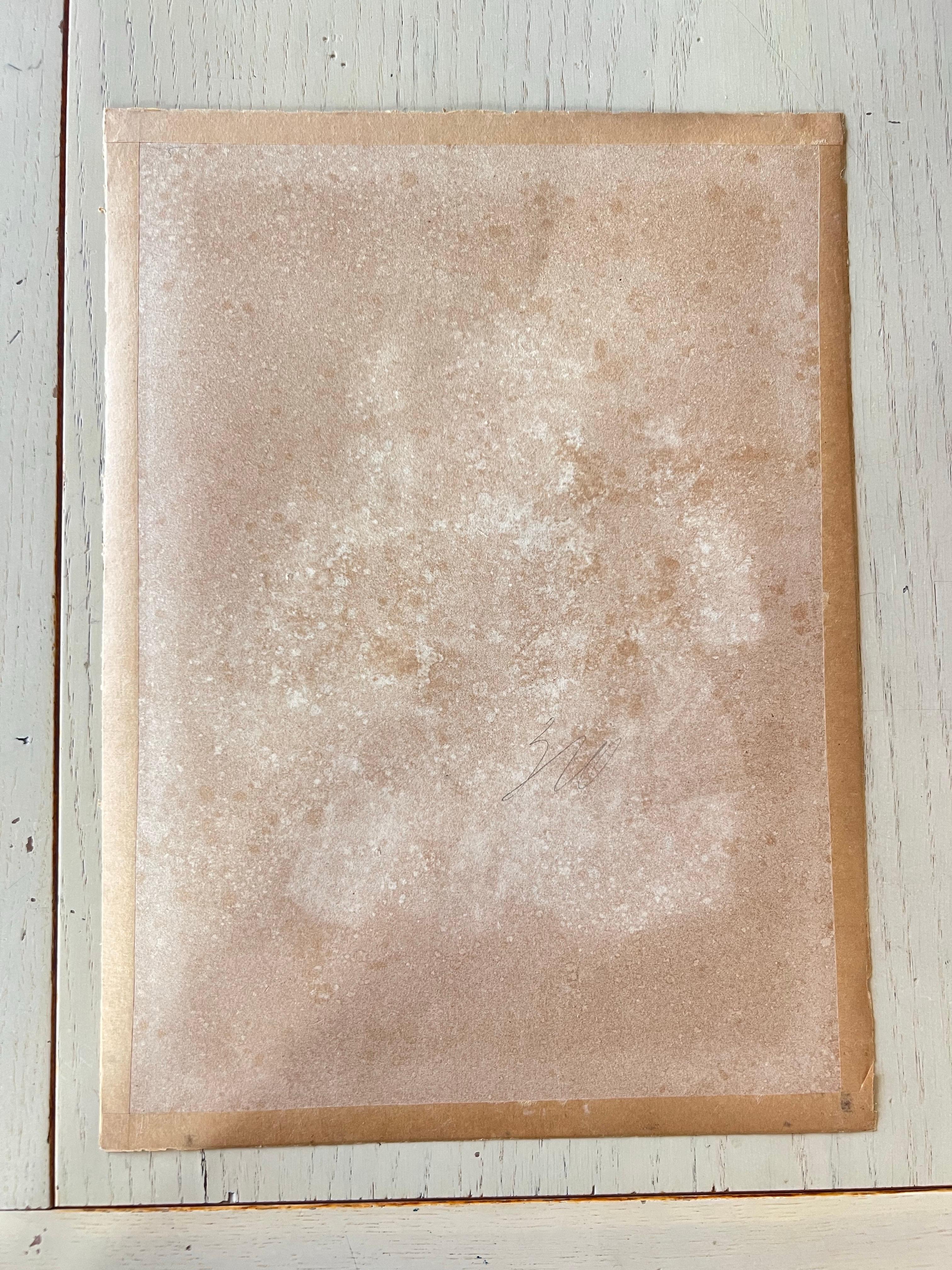 Lithographie française du XIXe siècle coloriée à la main par Delpech dans le style de L. Boilly en vente 5