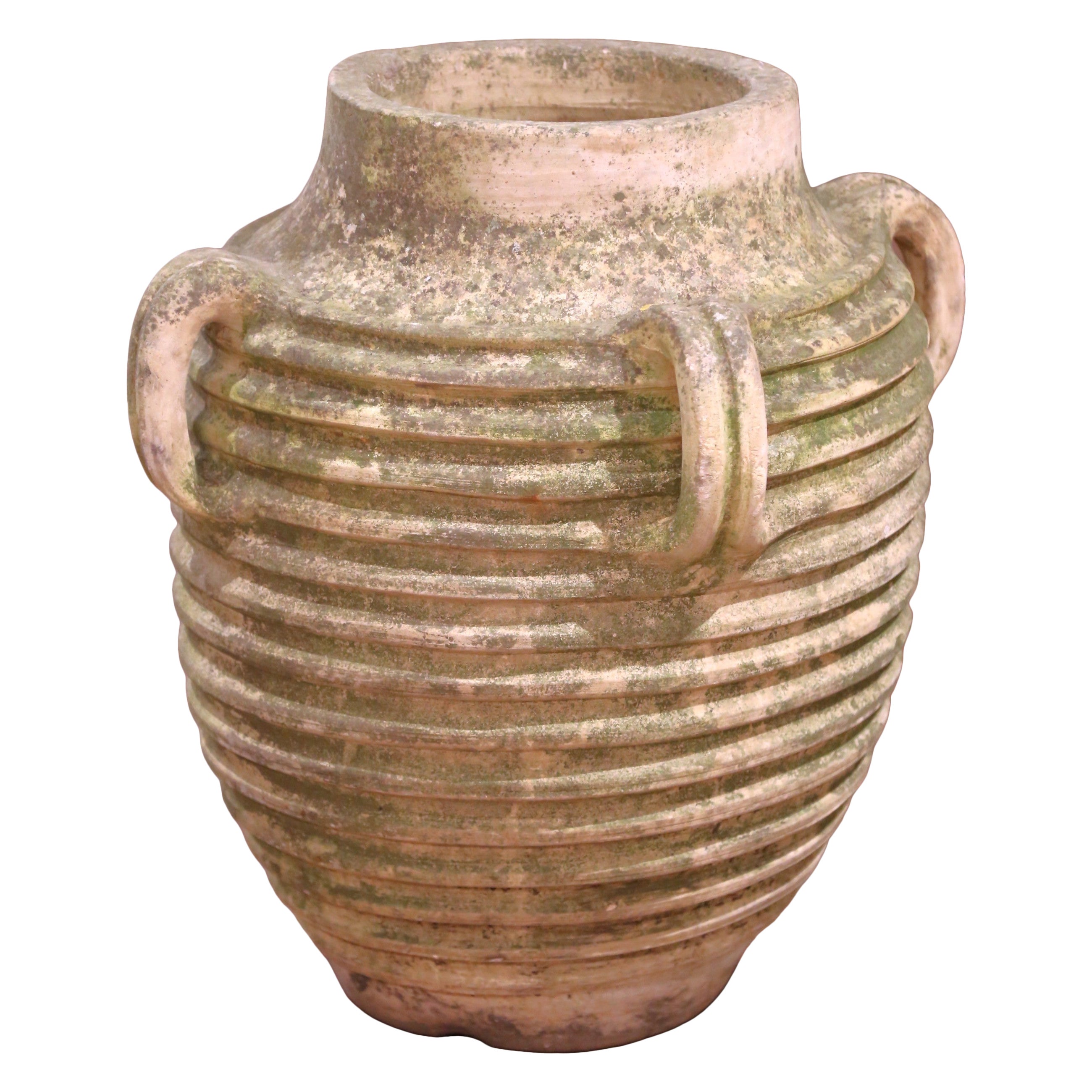 19. Jahrhundert Französisch Hand Crafted Patinated Ribbed Terracotta Olive Jar