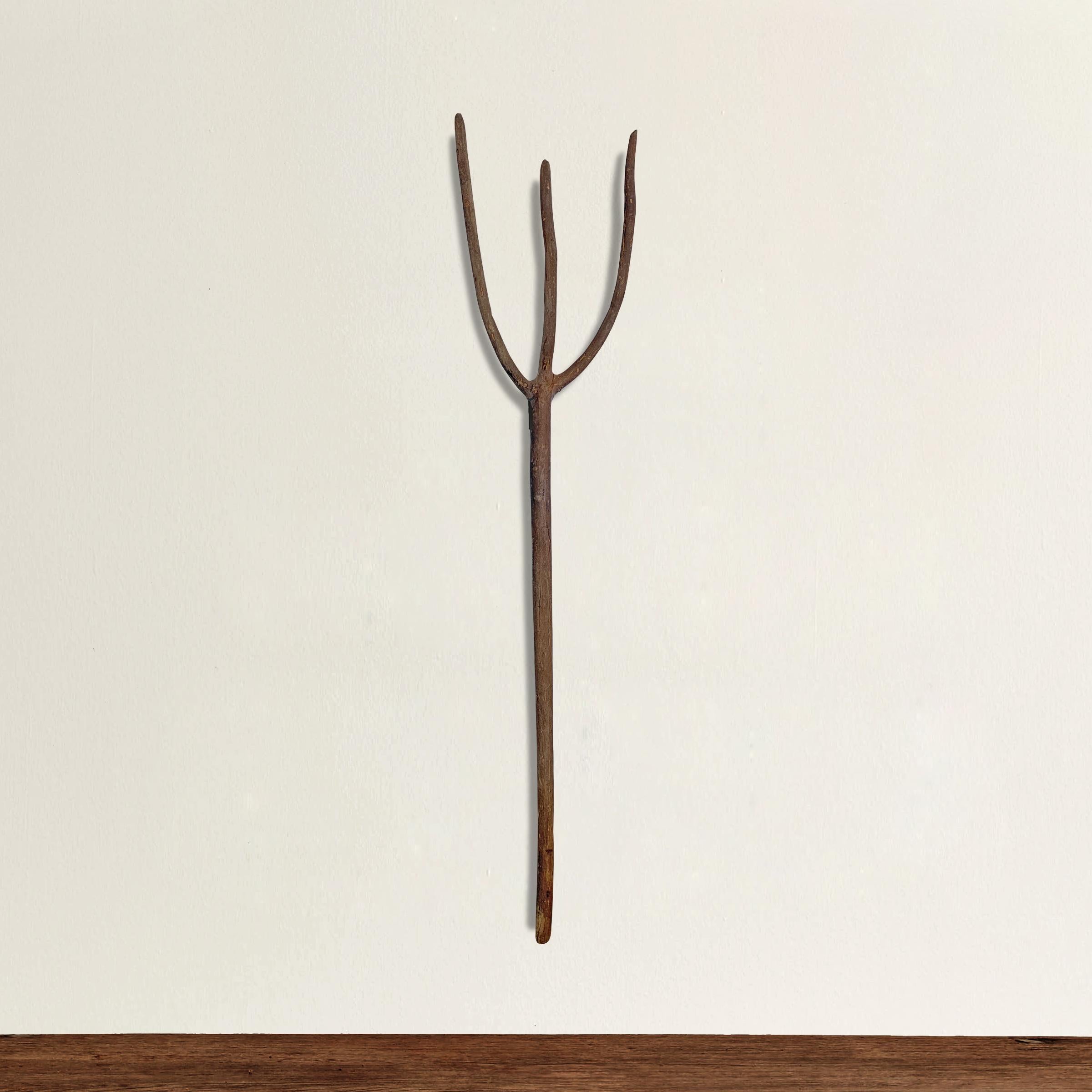 A wonderfully sculptural 19th century French espalier fruitwood hay fork mounted on a custom steel wall mount. Forks like these took years to create: A young fruit tree would be chosen and trained to grow into the desired shape, and then harvested