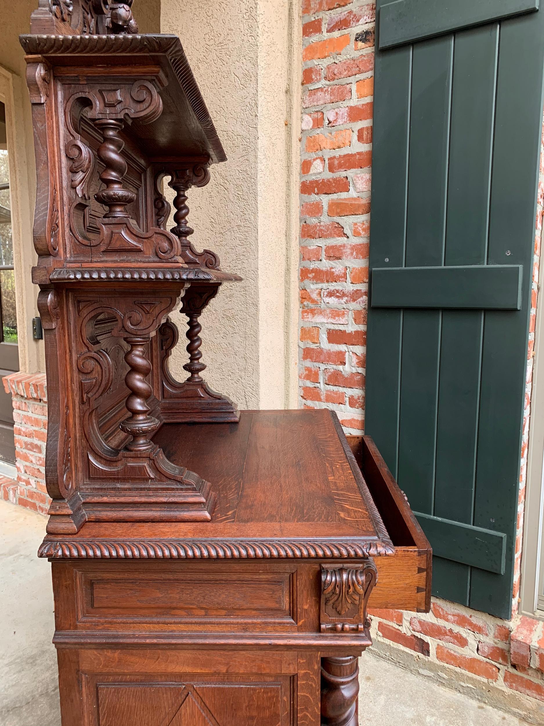 19th Century French Hunt Cabinet Bookcase Black Forest Carved Oak Barley Twist For Sale 13