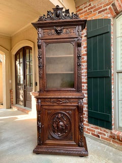19th Century French Hunt Cabinet Bookcase Black Forest Carved Oak Glass Display