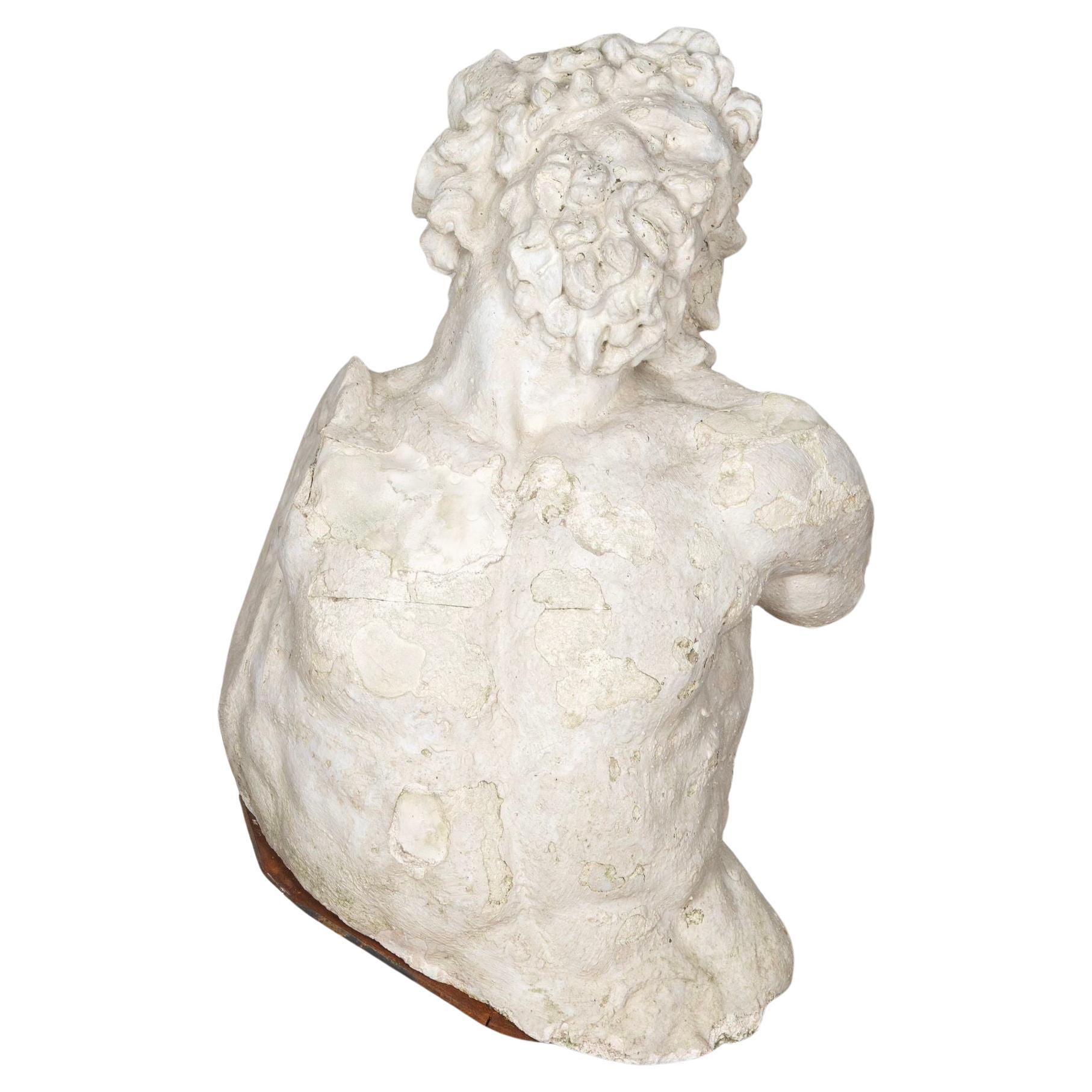 19th Century French Large Plaster Torso