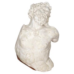 19th Century French Large Plaster Torso