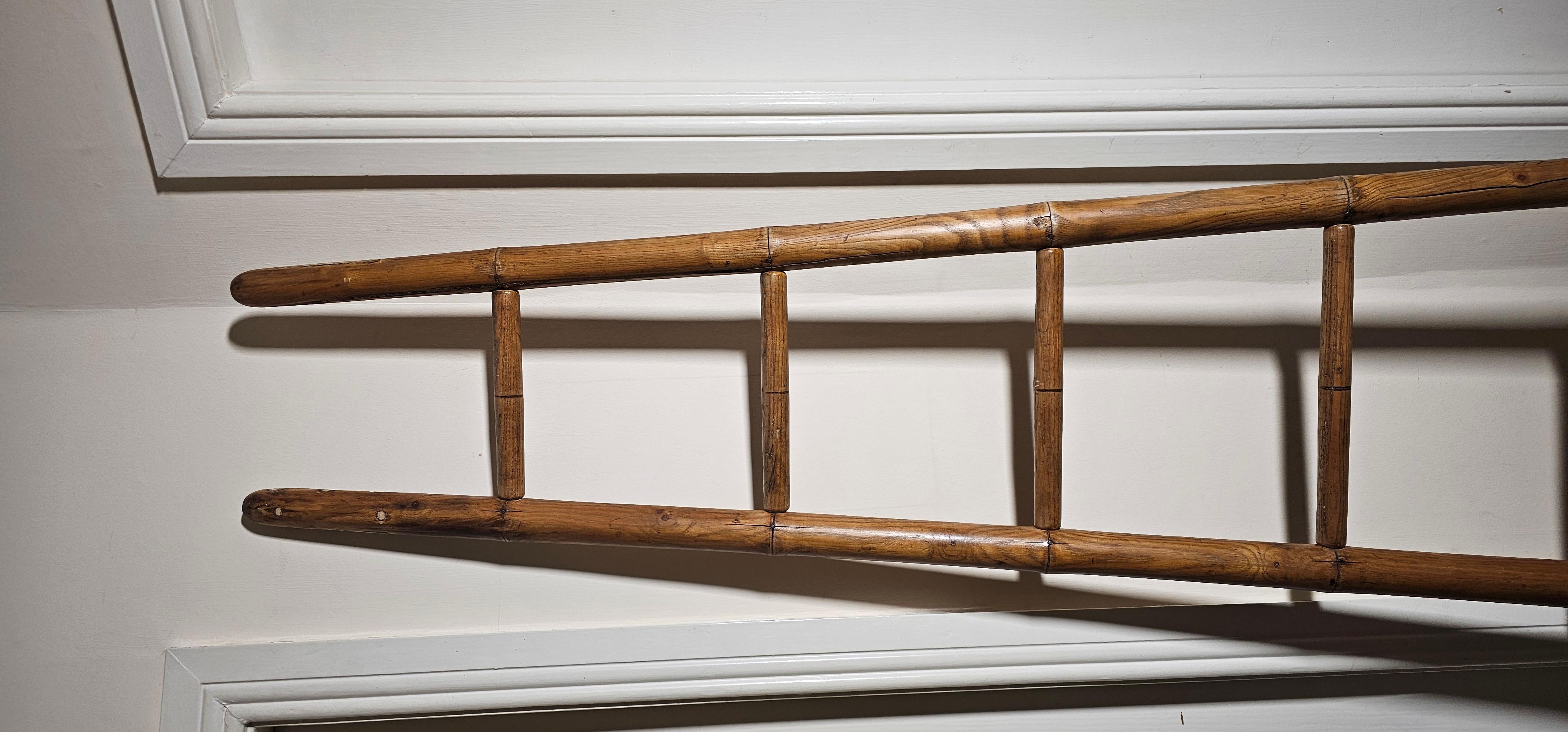 A beautifully crafted 19th century French library ladder. Hand made carved from Elmwood. and in exceptional condition. These library ladders are in great demand as works of Art and as funtional objects around the home. 
Ex French collection