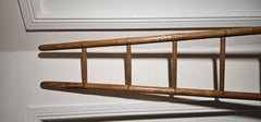19th century French Library ladder