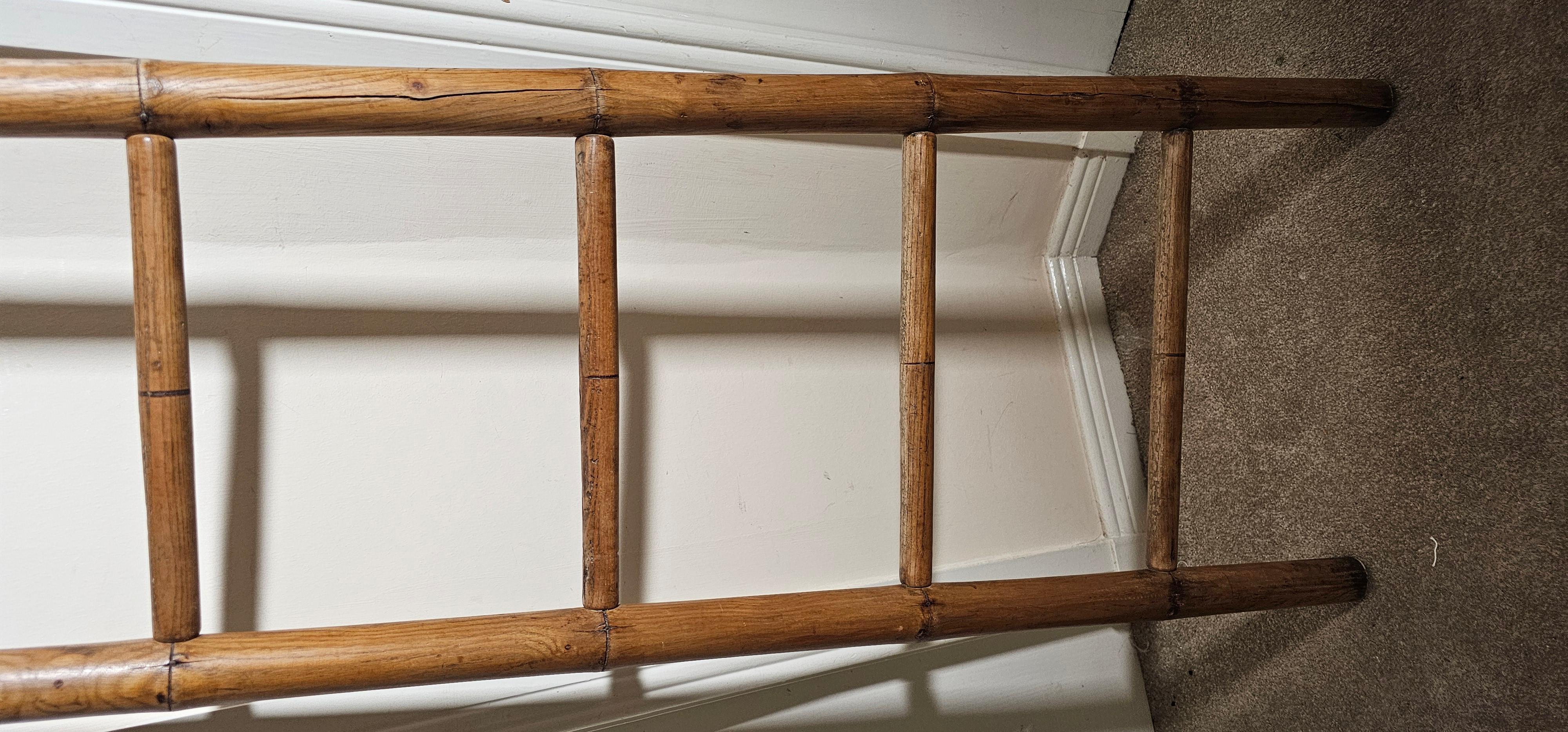 Provincial français 19th century French Library ladder en vente