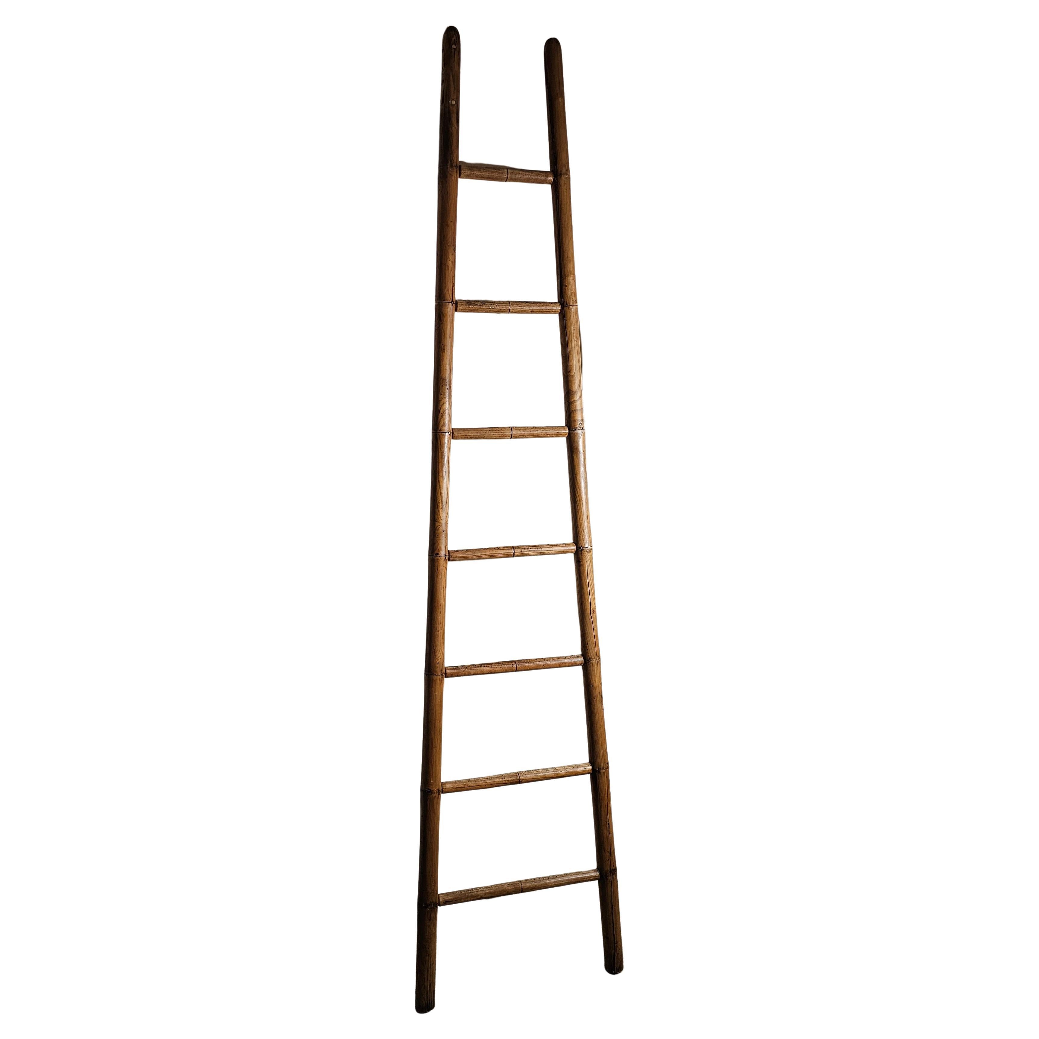 19th century French Library ladder