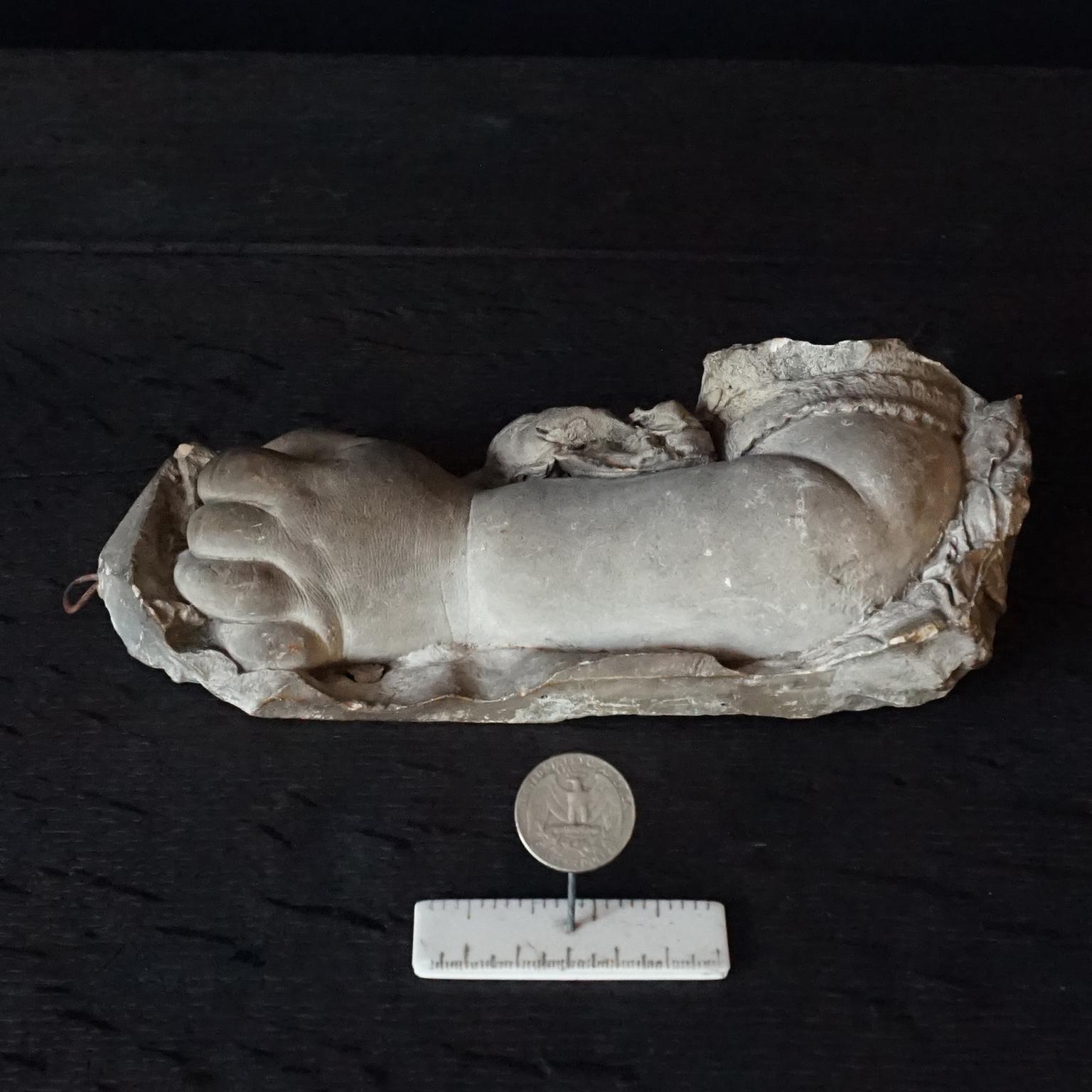 19th Century French Life Size Cast Plaster Study of Baby's Arm with Lace 12
