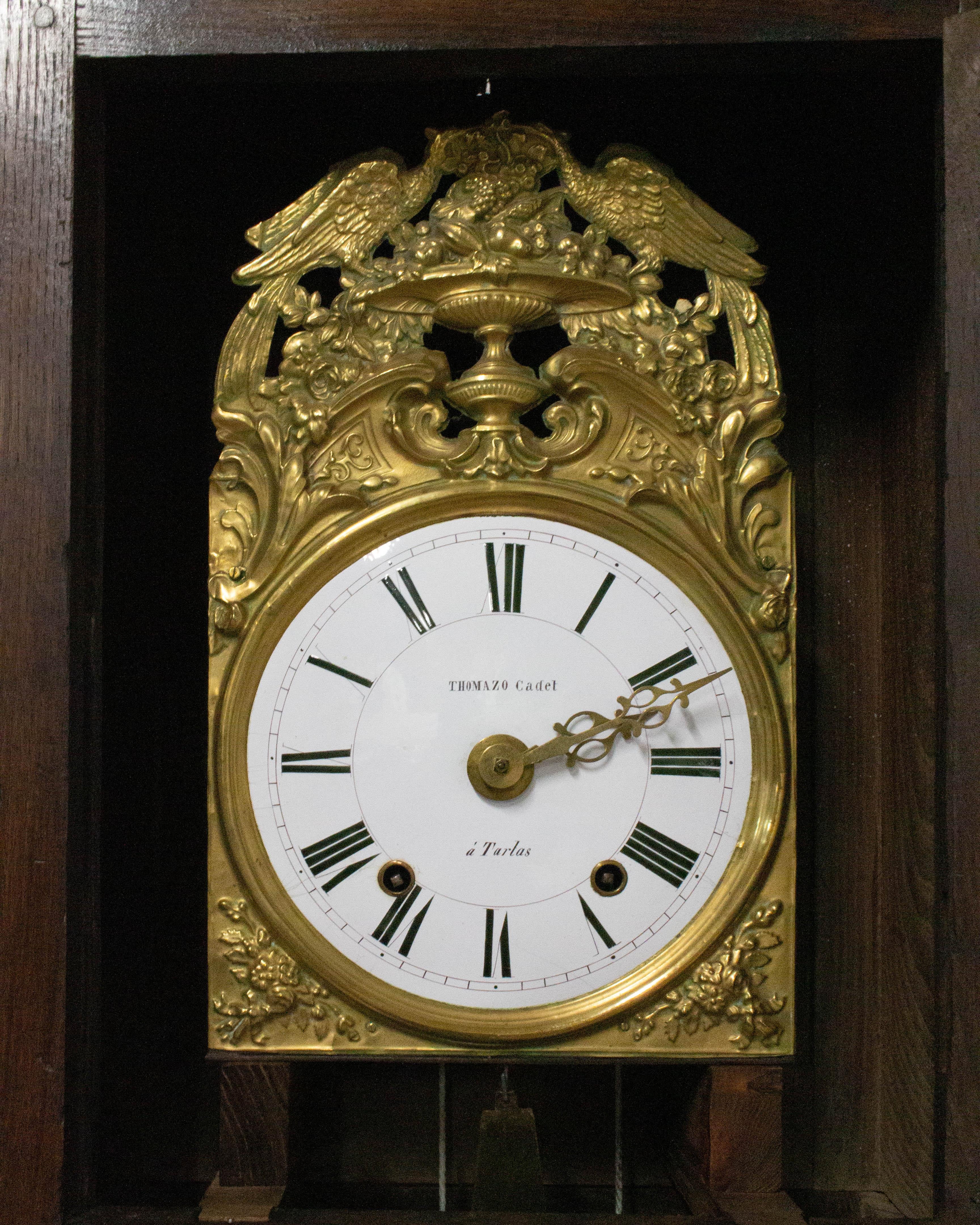19th Century French Longcase or Grandfather Clock 1