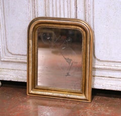 19th Century French Louis Philippe Carved Giltwood Wall Mirror