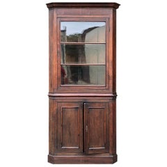 19th Century French Louis Philippe Corner Cabinet