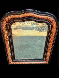 19th Century French Louis Philippe Faux Bois Mirror