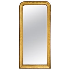 Louis Philippe Floor Mirrors and Full-Length Mirrors