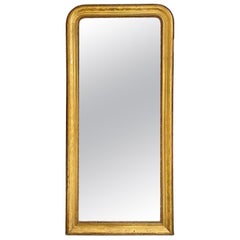 19th Century French Louis Philippe Gold Leaf Mirror