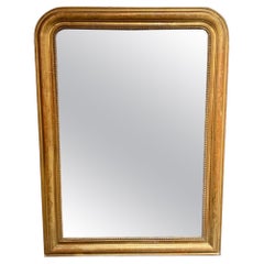 Antique 19th Century French Louis Philippe Mirror with Floral Pattern