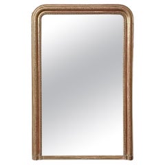 19th Century French Louis Philippe Period Giltwood Mantel Mirror