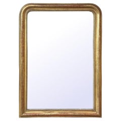 19th Century French Louis Philippe Period Giltwood Mirror