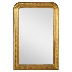 19th Century French Louis Philippe Period Giltwood Mirror