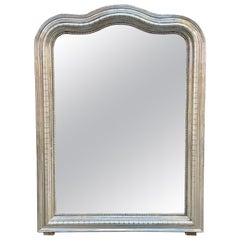 19th Century French Louis Philippe Silver Leaf Arch Top Mirror