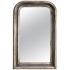 19th Century French Louis Philippe Silver Leaf Mirror