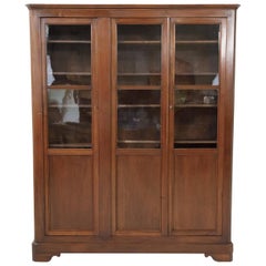 Antique 19th Century French Louis Philippe Style Walnut Bibliotheque or Bookcase