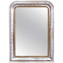 19th Century French Louis Philippe Two-Tone Silver and Gilt Wall Mirror