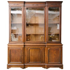 19th Century French Louis Philippe Walnut Bibliotheque