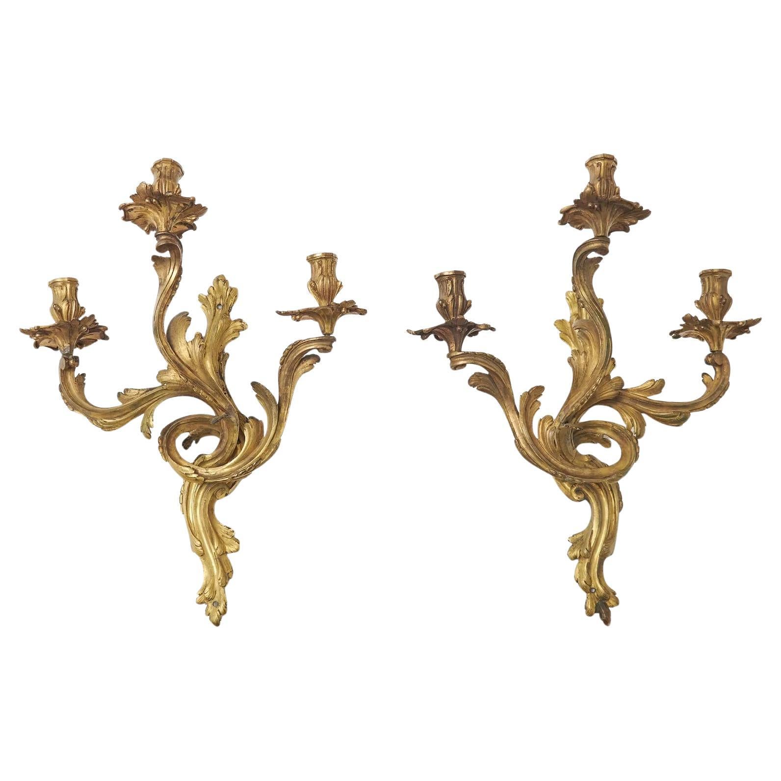 19th Century French Louis XV Carved Giltwood Wall Sconces, Pair