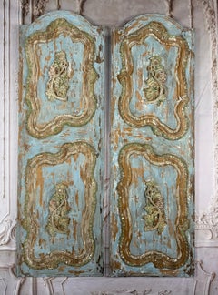 19th Century French Louis XV Rococo Doors with Distressed Wood Finish