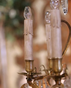 19th Century French Louis XV Style Bronze and Glass Eight-Light Chandelier