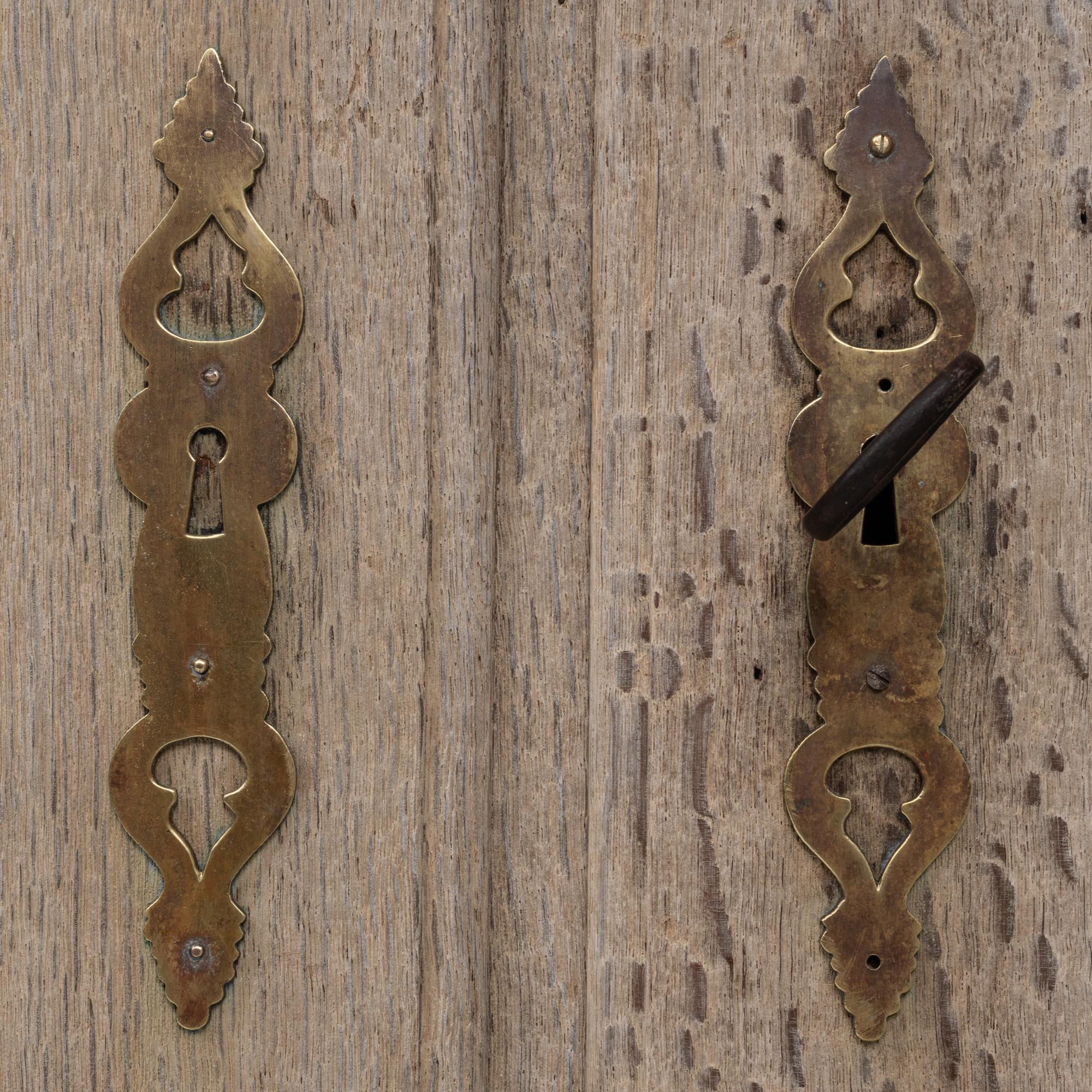 Armadio francese del XIX secolo in stile Luigi XV con ante a rete metallica in vendita 7