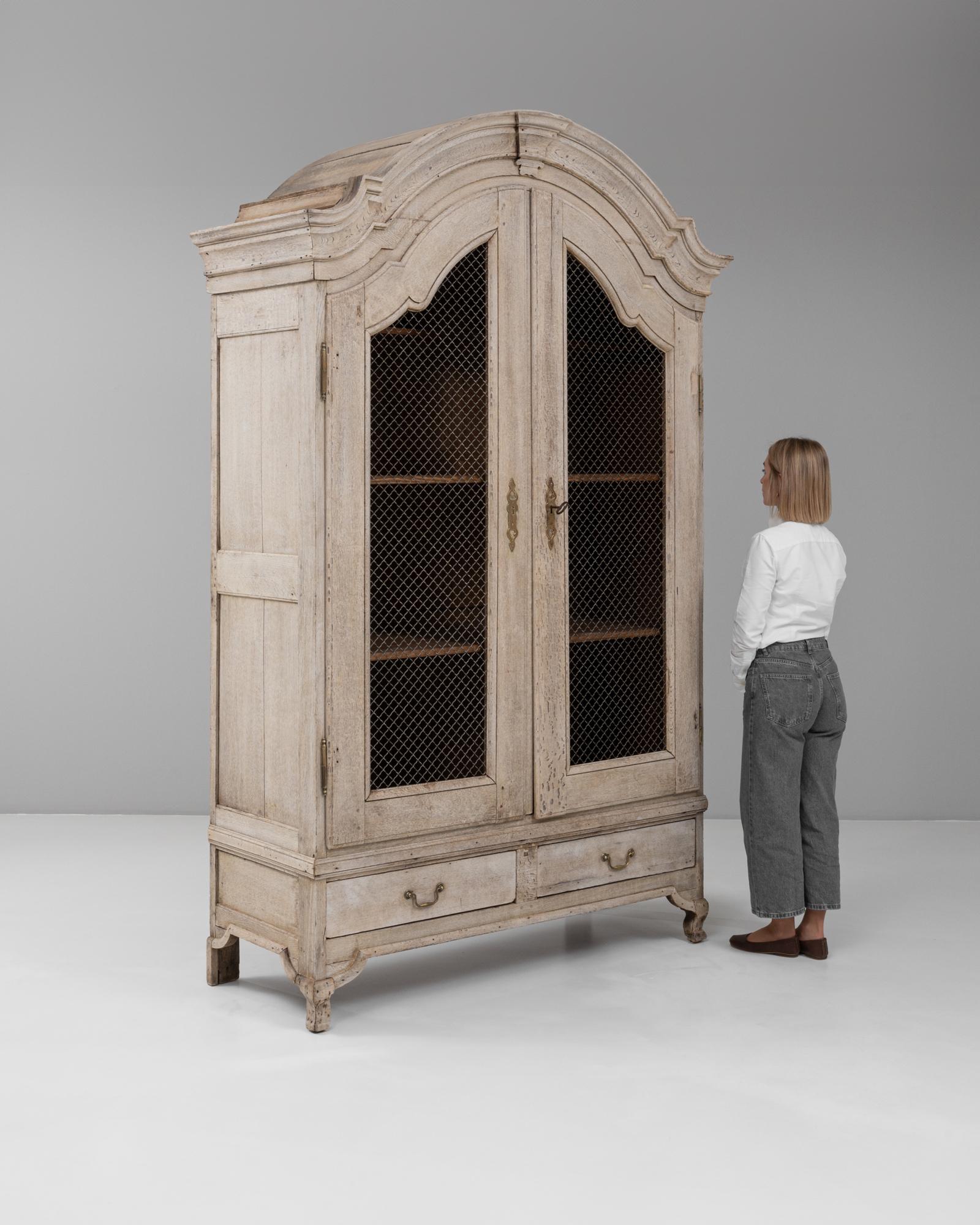Armadio francese del XIX secolo in stile Luigi XV con ante a rete metallica in vendita 2