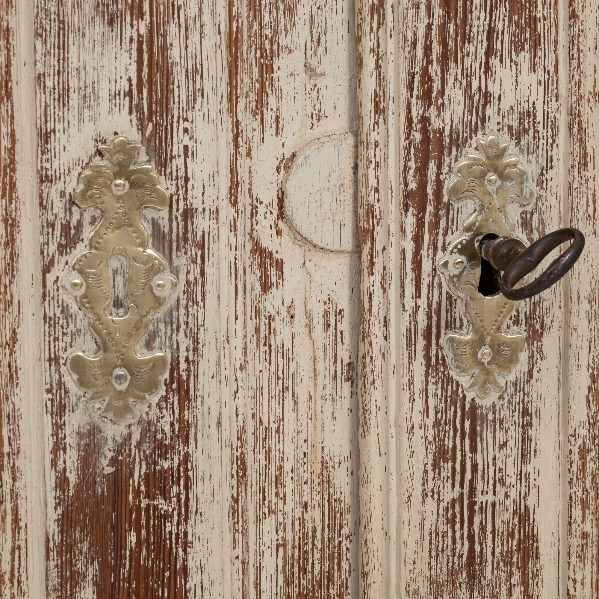 19th Century French Louis XV Wood Patinated Cabinet with Wire Doors For Sale 8