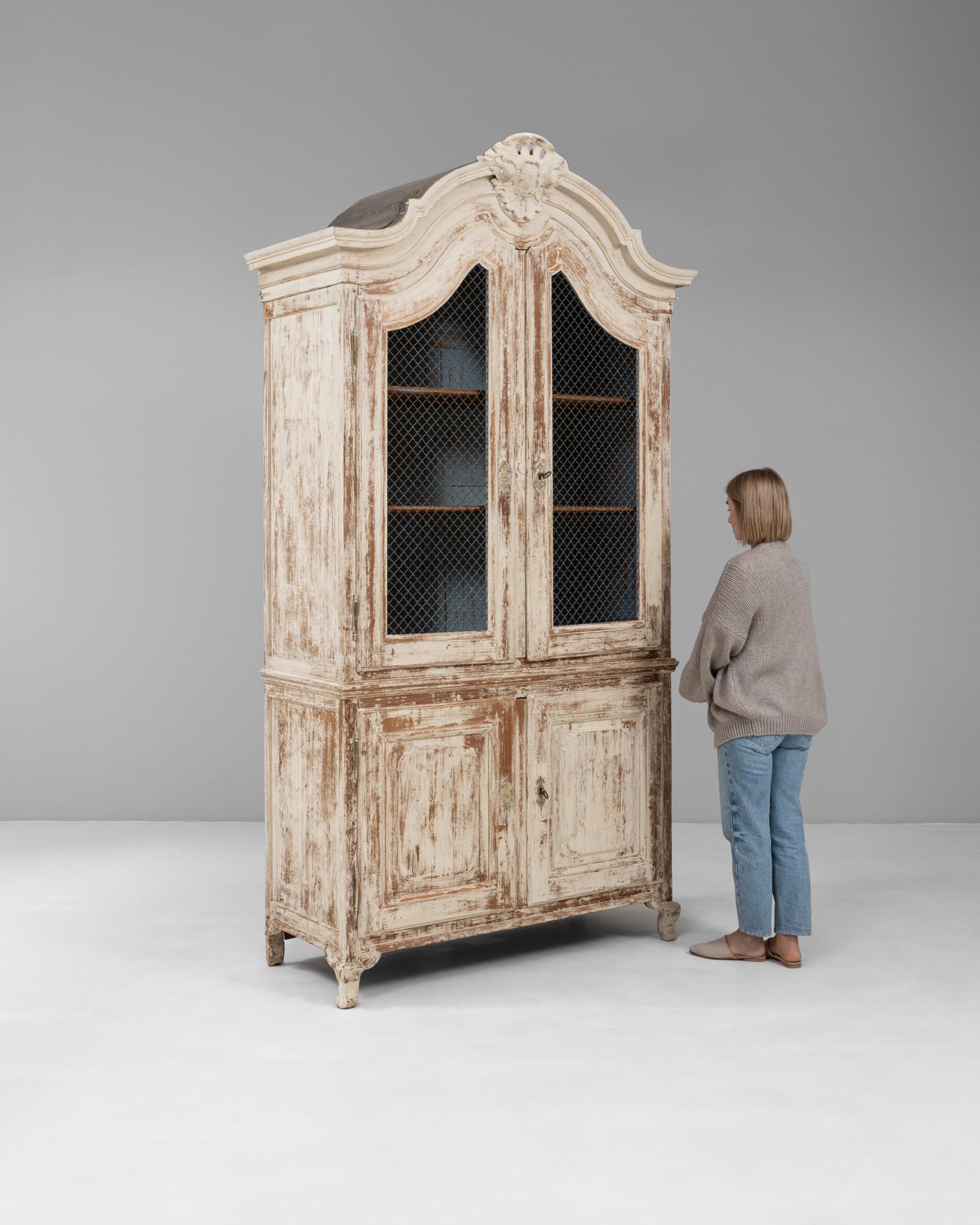 19th Century French Louis XV Wood Patinated Cabinet with Wire Doors For Sale 3